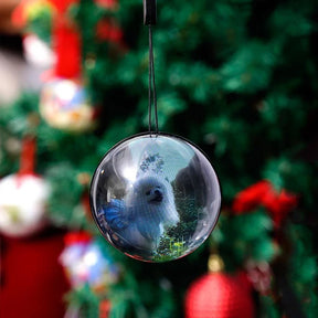 Esfera Memória 3D - Fotos e Videos